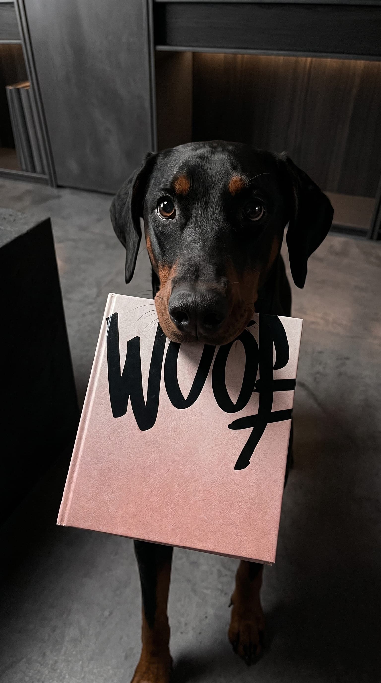 A young black-and-tan Doberman carrying the cream WOOF hardcover in its mouth, the black brush-mark logo visible on the cover, standing on concrete in a modern interior.