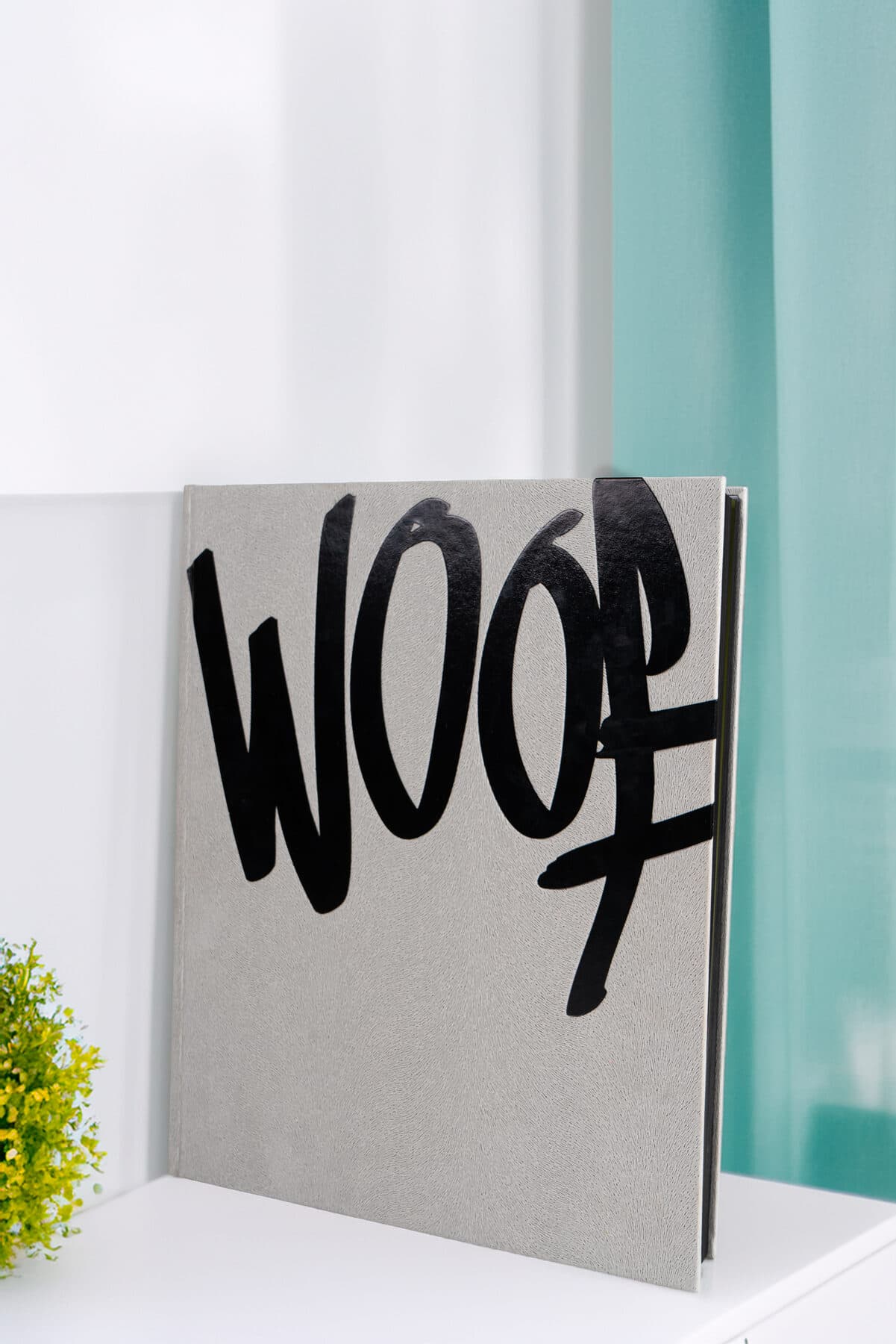 WOOF standing on a white shelf against a teal-green wall, a small potted plant beside it.